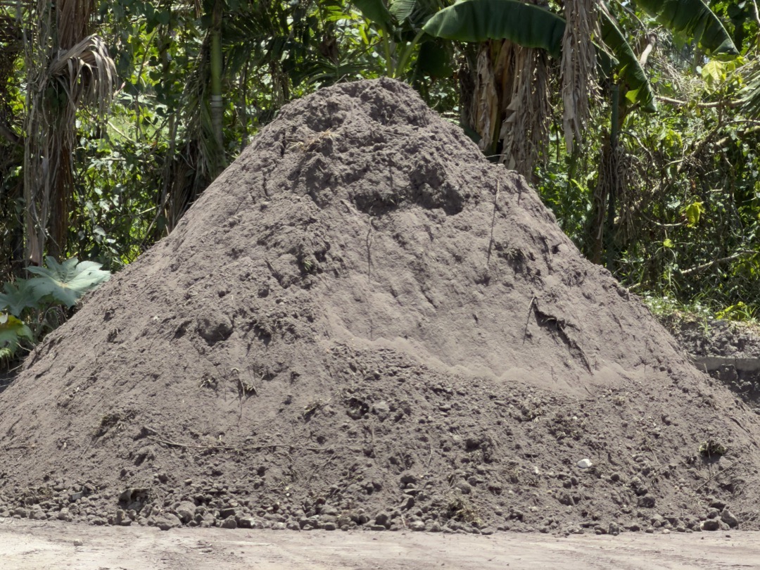 Fill Dirt
